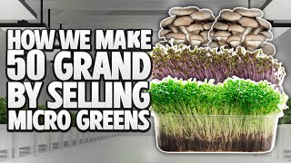 How We Make 50.000$ Per Month Selling Micro Greens And Gourmet Mushrooms