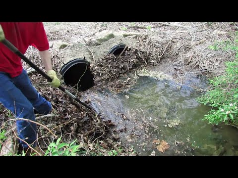 Unblocking Road Culverts for a Healthier Waterway