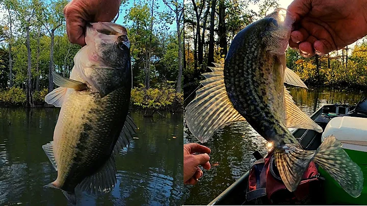 Fall Crappie and Largemouth Bass  - catching crapp...
