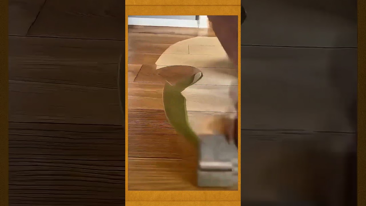 Simple and easy wood floor adhesive coating 