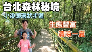 【台北森林秘境| 小溪頭環狀步道】享受森林浴不用去溪頭 ... 