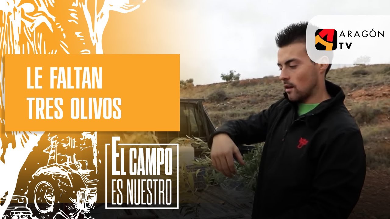 A Josema le faltan tres olivos para tener su campo perfecto ante una inspección