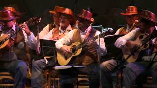 Índia - Orquestra Paulistana De Viola Caipira