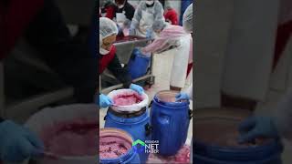 Zahmetle Toplanan Narlar Ekşiye Dönüşüyor