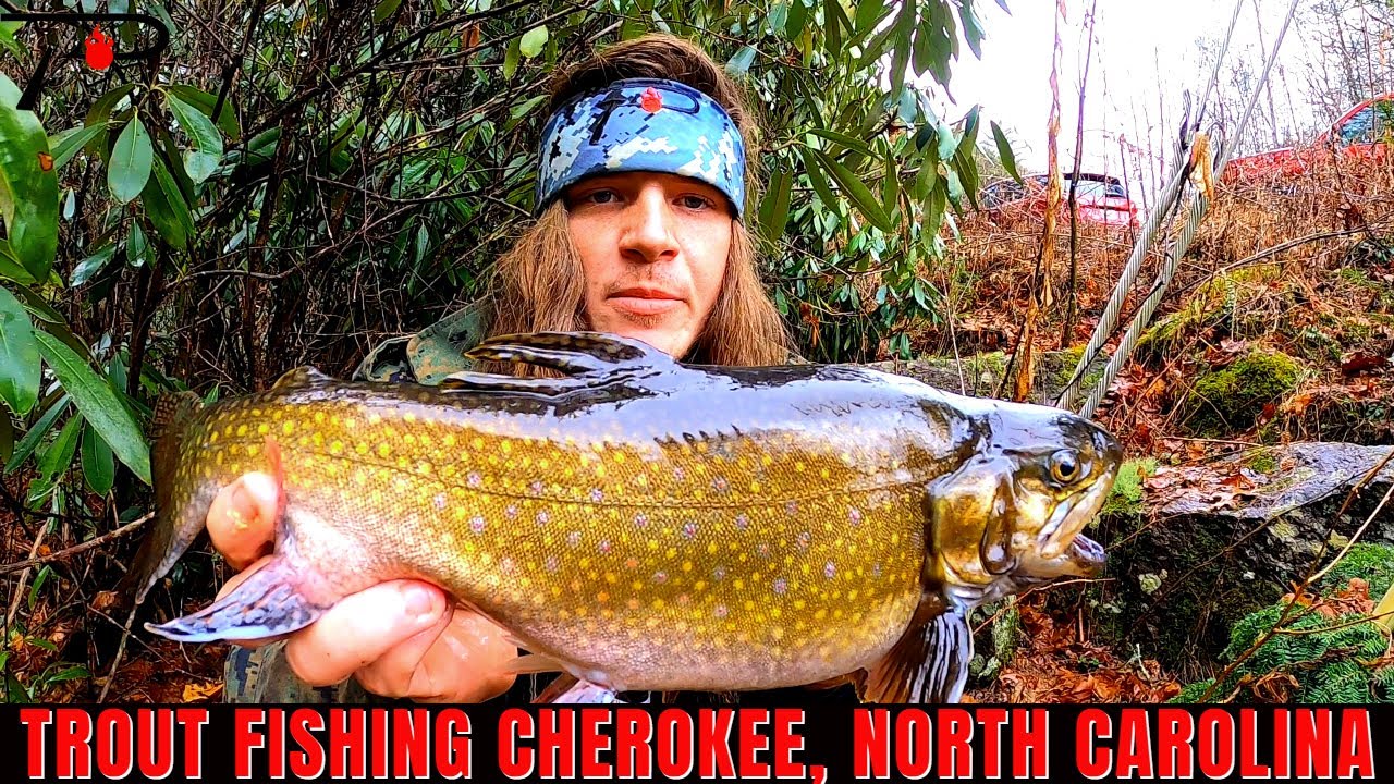 Trout Fishing Cherokee North Carolina YouTube