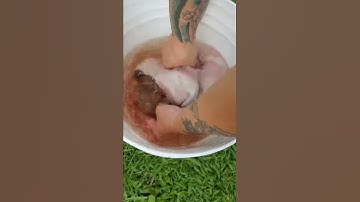 Noob Rabbit Butcher Part 3