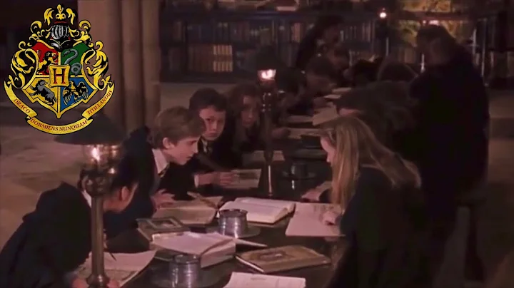 Harry Potter: Hufflepuffs Talk About Harry (Delete...