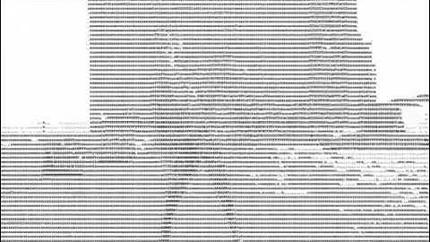 Ascii MATRIX