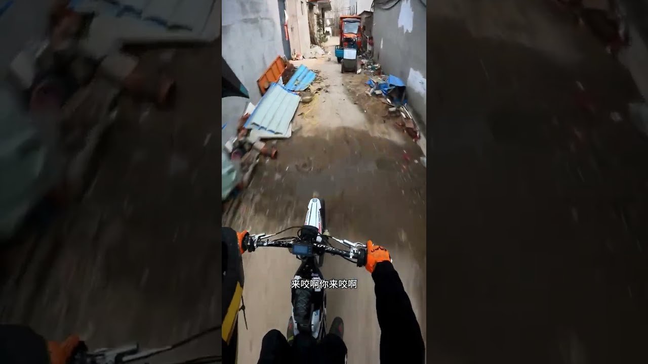 Catch The Dog China Asia Biker Remix Music Viralvideo Dogs Dogshorts Travel