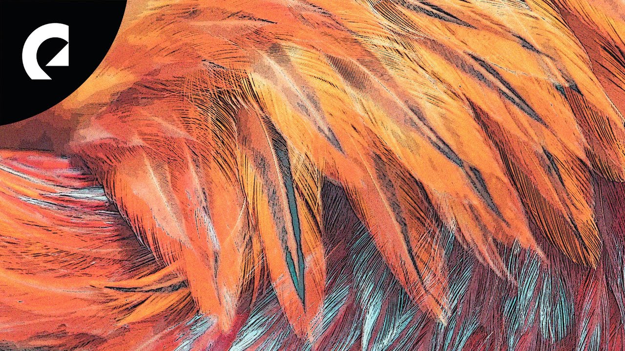 Watch DJ DENZ The Rooster - Believing Wanting (Royalty Free Music) on YouTube