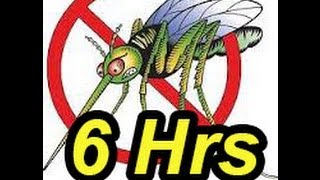 Anti mosquito Sound 6 hrs Mosquito Repellent