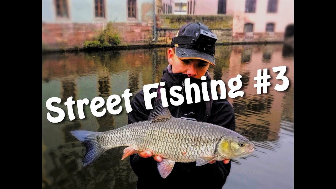 Street Fishing #3 - Strasbourg - Chevesnes hivernale - touche en LIVE
