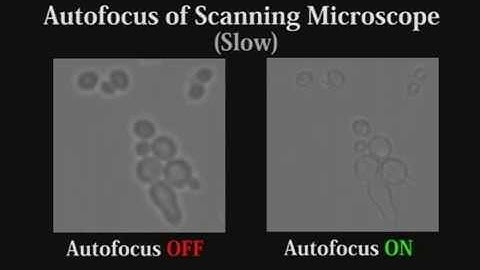 High-Speed Scanning Microscope by Depth From Diffraction (DFDi) Method