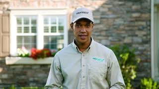 How to Stop Lawn Damaging Insects | TruGreen Lawn Care