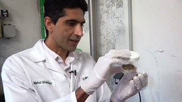 Microbiomes in our daily life