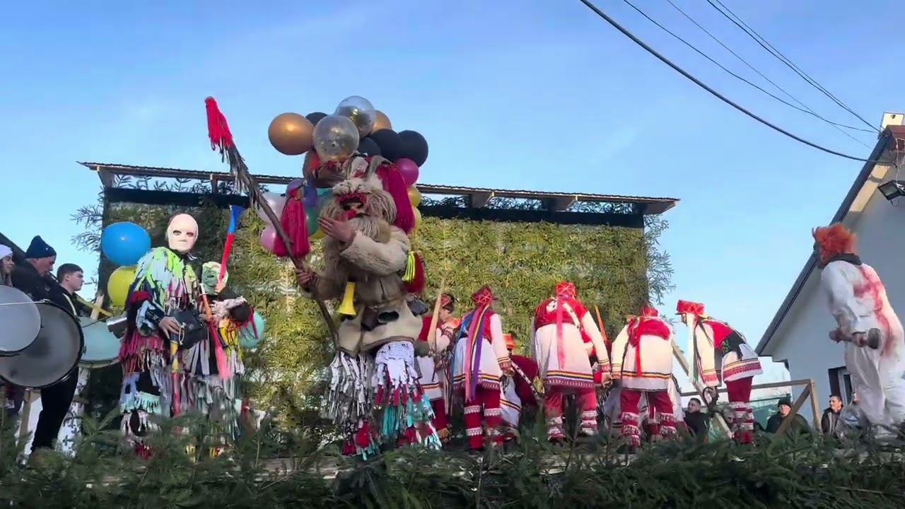 Căluț Varfu Câmpului 2025-Aștefănesei Ionuț și Dorneanu Daniel