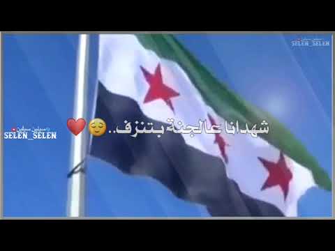 رفرف يا كايدهم انا بنت ثورجية وصرمايتي بتم كل بنت اسديه