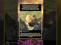 Under the savanna sun, the male lion bows his head, his thick #foryou #fyp #animals #funny