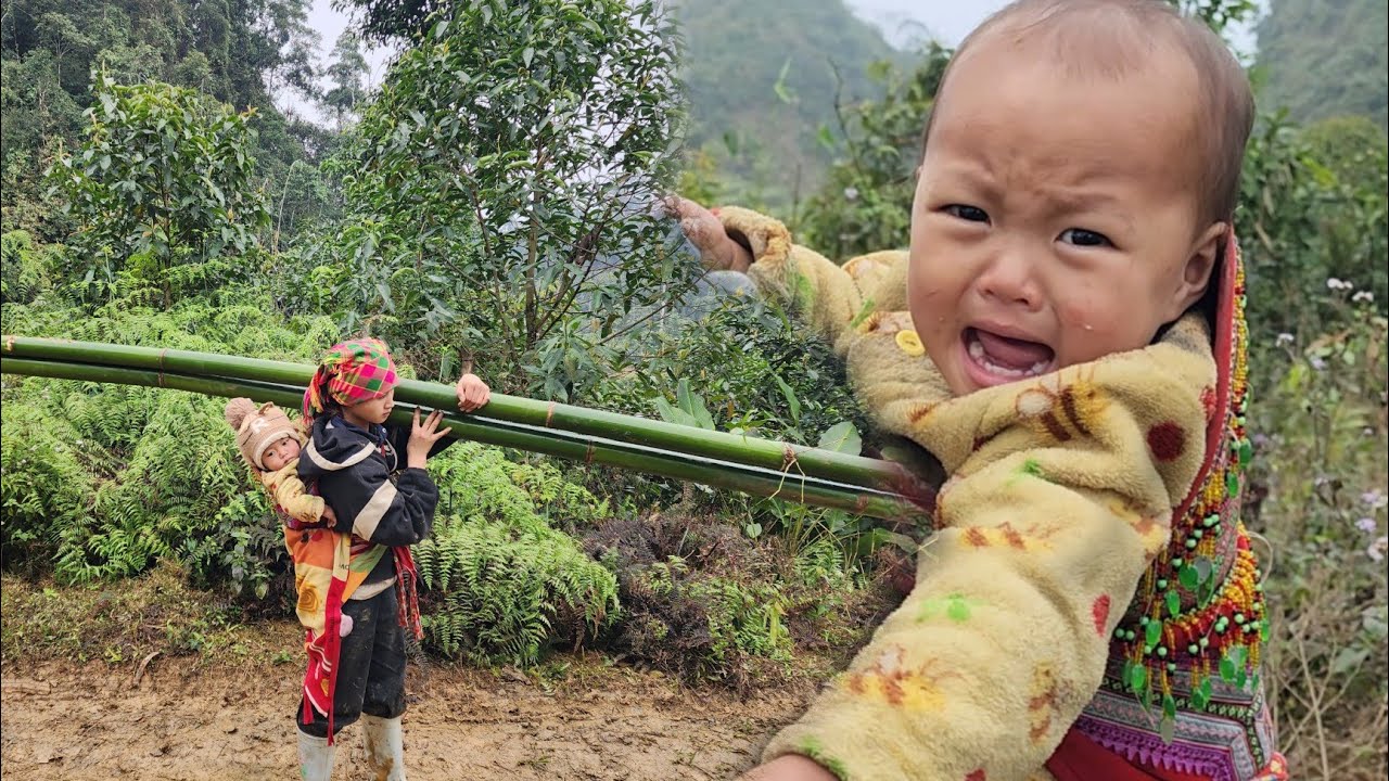 The mother and daughter went to cut bamboo to make pig troughs.