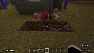 Minecraft_What the Heck Somebody please tell me what is happening