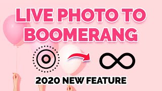Turn A Live Photo Into A Boomerang Instagram Story Hack