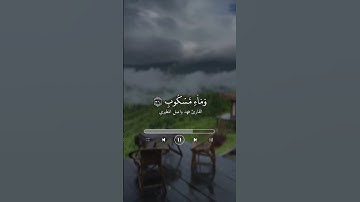 ما تيسر من سورة الواقعة ، القارئ فهد واصل المطيري .