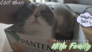 [Chillout with kittens] Massage third eyes and nap ｜Honest Thoughts by Mihu family Take a break 58 views 5 months ago 5 minutes, 4 seconds