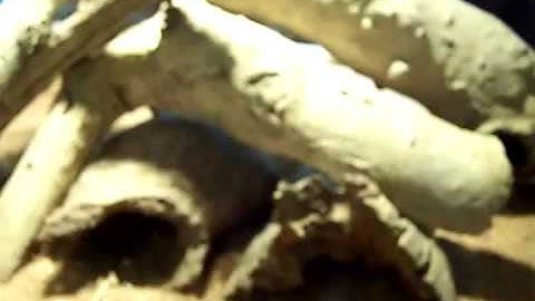 taming your monitor part 2