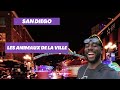 Les animaux de la ville  san diego  jamieshere  vlog