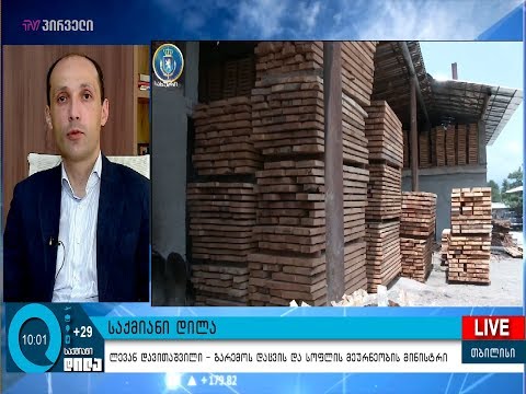 ახალ ტყის კოდექსში გაჩნდება ტერმინი \"კერძო ტყე\"