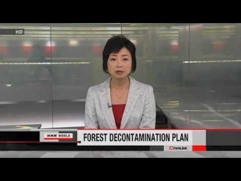 decontaminate-a-forest-of-radioactive-fallout?-&-fukushima-update-8/24/12