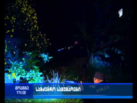 გორის რაიონის სოფელ რეხში მტაცებელ ცხოველს ეძებენ