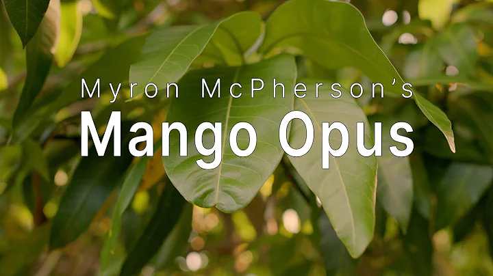 Myron McPherson's "Mango Opus" with Introduction b...