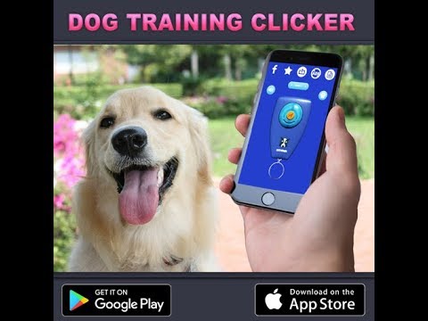 Dog Clicker