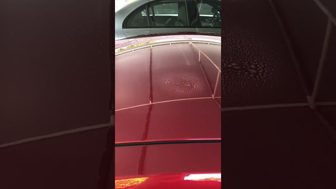 A hidden gem in the detailing industry! 