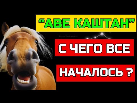 Видео: "АВЕ КАШТАН"! С чего все началось в Albion Online? #albiononline #mmorpg #memes