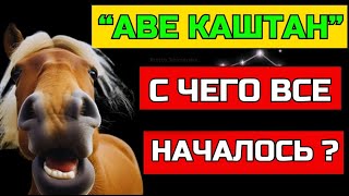 "АВЕ КАШТАН"! С чего все началось в Albion Online? #albiononline #mmorpg #memes