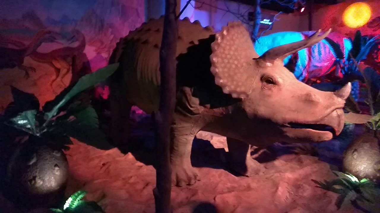 the great adventure in kolkata science city