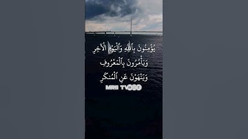 ماهر المعيقلي - سورة آل عمران ( برواية حفص عن عاصم ) الأية 114
