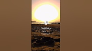 سورة الإخلاص #اكسبلور #رب #قرآن #قران_كريم #سورة_الإخلاص #fyp #fouryou #الرحمن #لايك #المصحف #رب