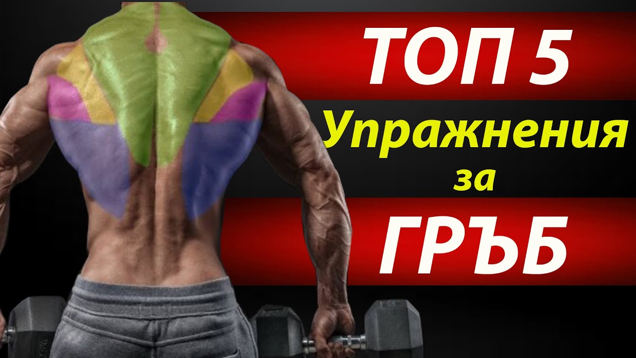 5те Най-Добри Упражнения За Гръб