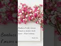 🌸Влюбись в себя, потом в жизнь🌸 #shorts #ГалинаАлексеева