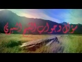 ما حكم اكل السقنقور - السحلية - فوائد و دواء . سؤال وجواب الشيخ النميري حفظه الله ١٤٣٨/٣/١