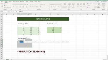 Perkalian Matriks Menggunakan Microsoft Excel