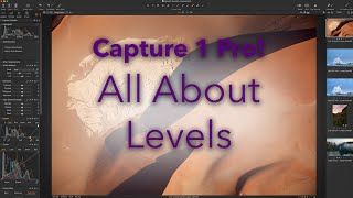 Capture One Pro - All About Levels