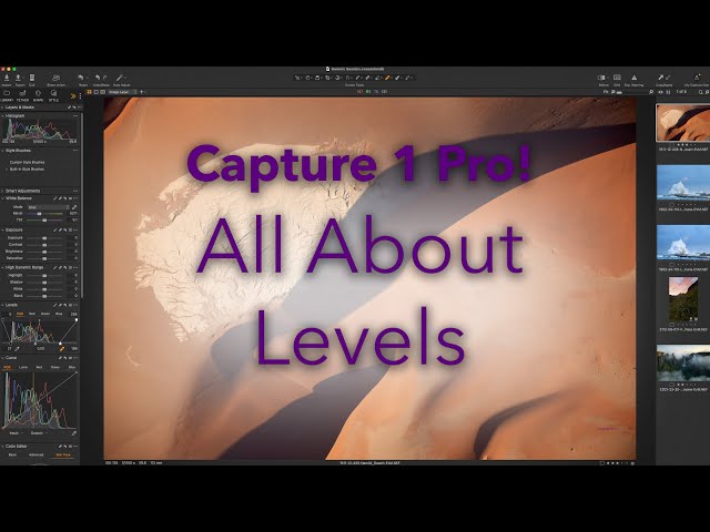 Capture One Pro - All About Levels