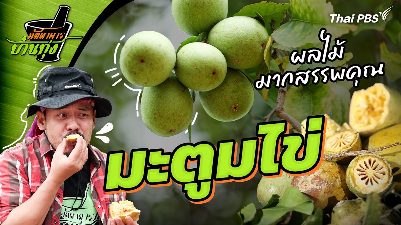 มะตูมไข่ | ภัตตาคารบ้านทุ่ง