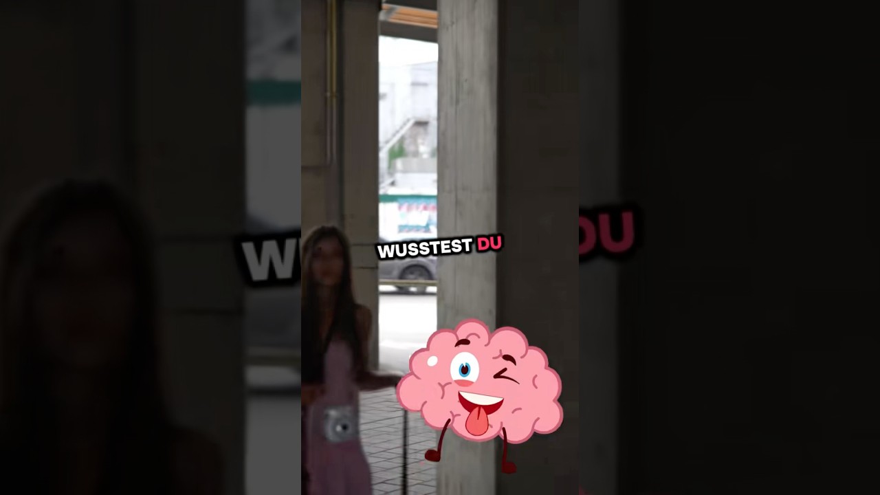 Wusstest du, dass wenn du was geht yalla ... 