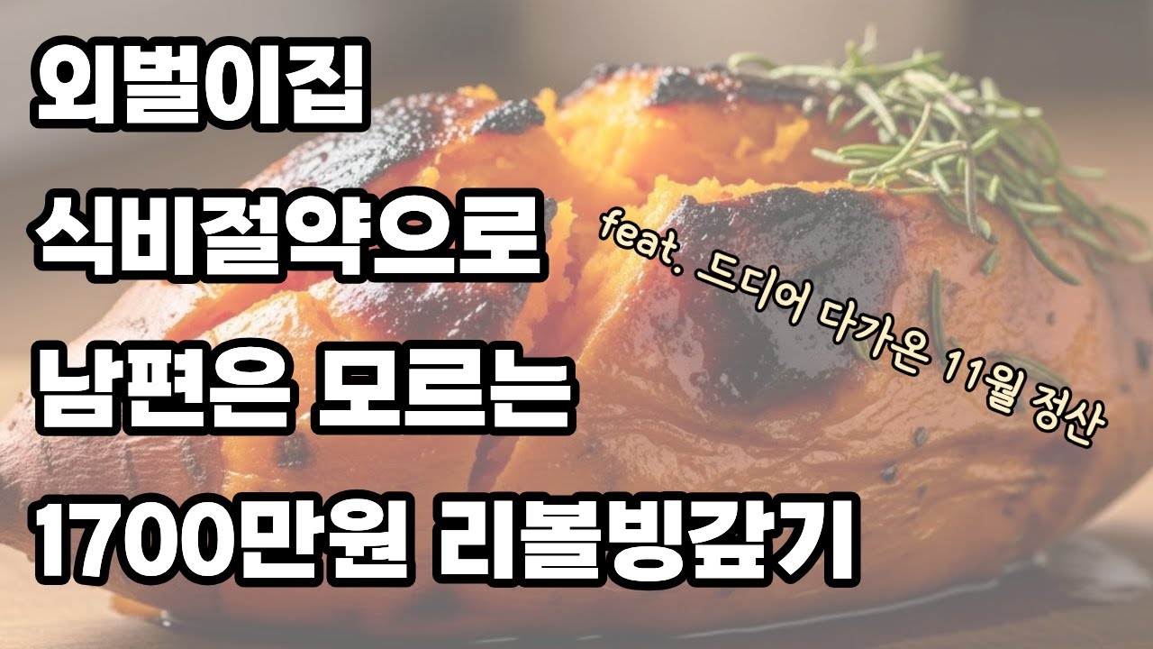 [남편모르는 카드빚갚기] 식비절약4주차. 드디어 11월 정산. 식비절약으로 1700만원 리볼빙 갚을 수 있을까?