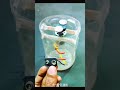 Can You Trap a Storm in a Jar? ⚡DIY Tornado Maker (Wait Until the End) 😱 #youtubeshorts #satisfying